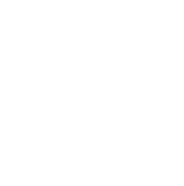 White logo